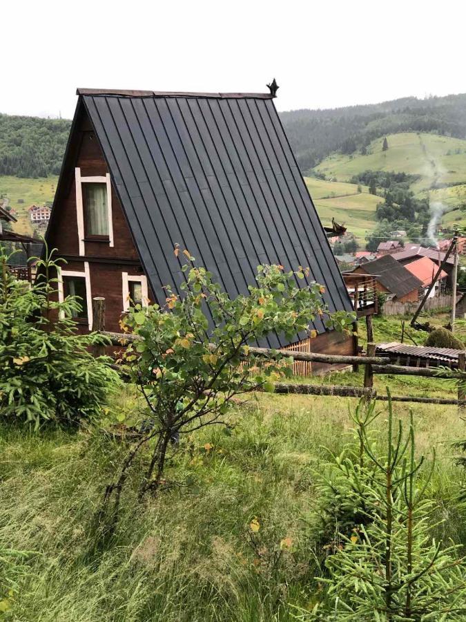 Ferienwohnung Oak House Poljanyzja Exterior foto